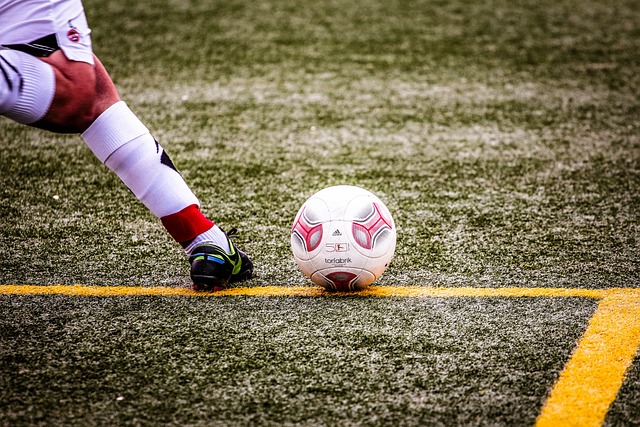 对他们的公 对他们的公