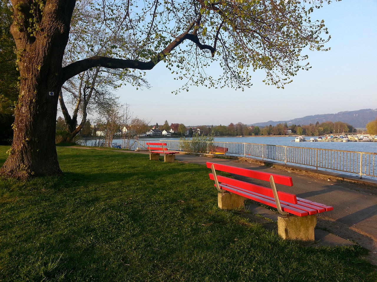 胜的关键因 胜的关键因